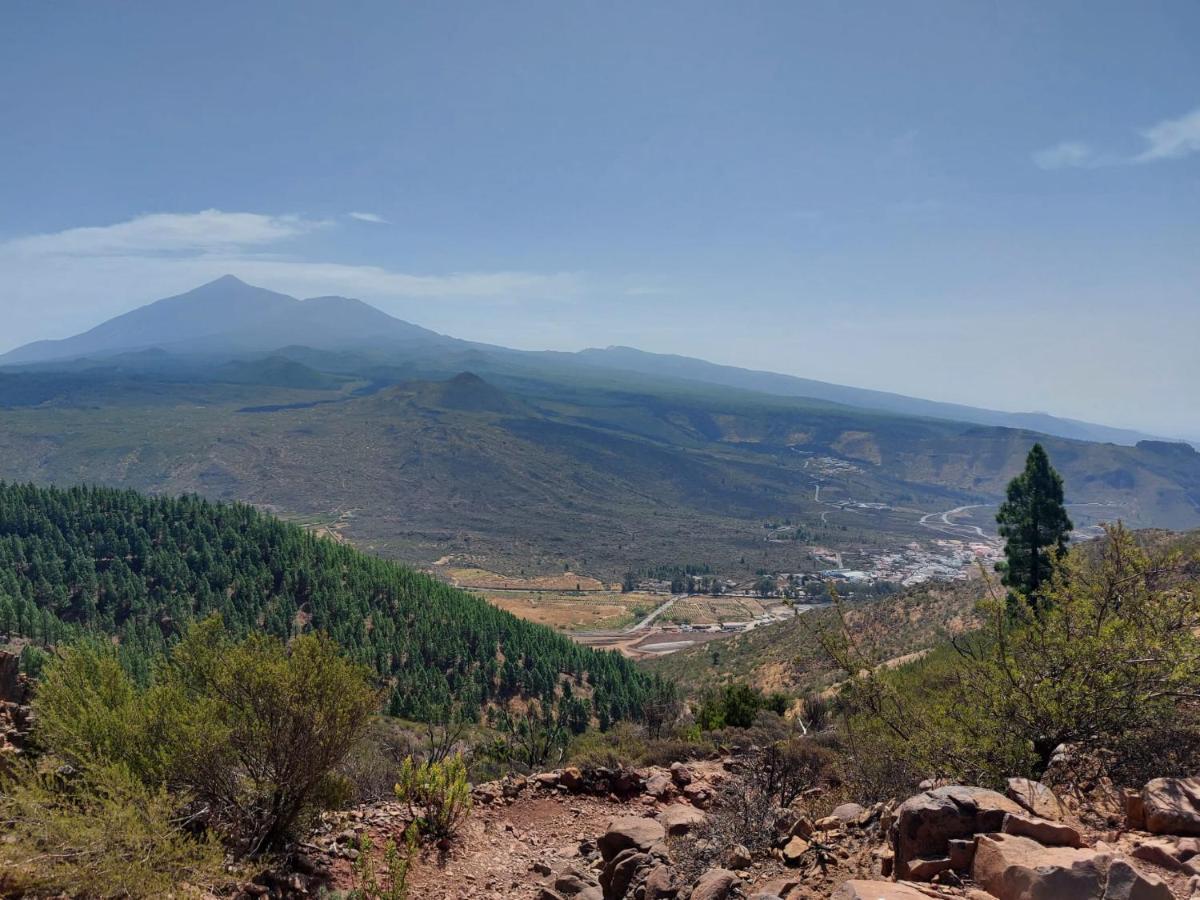 Vista Del Drago Villa Икод де лос Винос Екстериор снимка